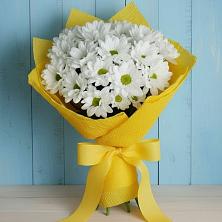 Букет цветов из:  Хризантемы в Бологом
