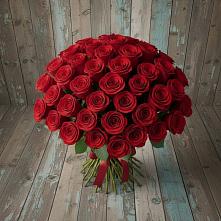 Букет 55 Красных роз Фридом #REPLACE_PRED# Бологом