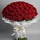 Букет 101 Красная роза Блэк Мэджик в Бологом