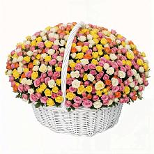 Премиум букет из: Розы в Бологом