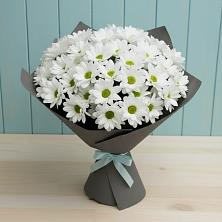 Букет цветов из:  Хризантемы в Бологом
