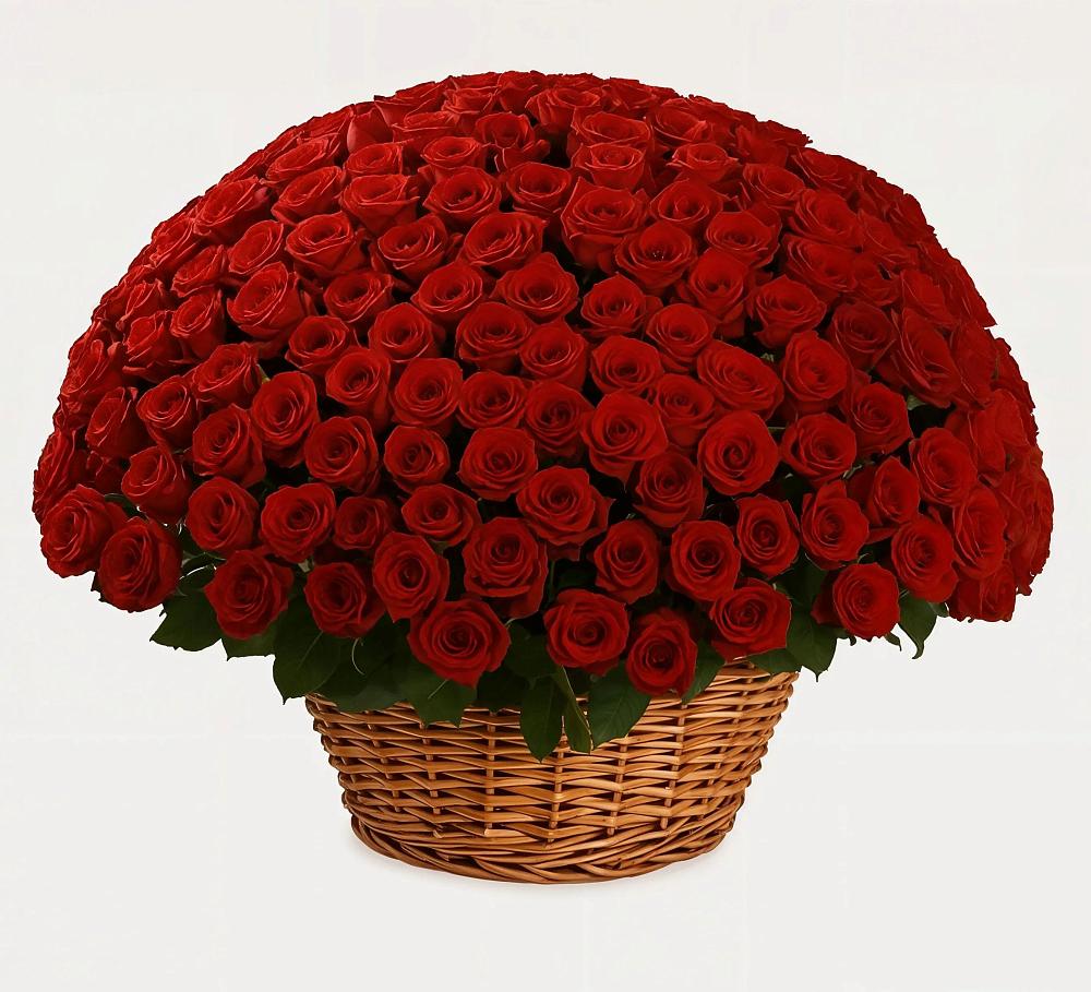 Премиум букет из: Розы в Бологом