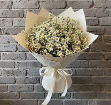 Букет цветов из:  Ромашки в Бологом