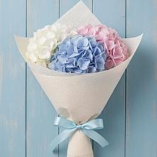 Букет цветов из:  Гортензия в Бологом
