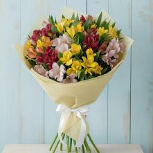 Букет цветов из:  Альстромерии #REPLACE_PRED# Бологом