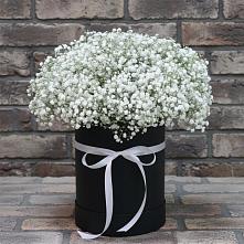 Цветочная композиция из Гипсофила в шляпной коробке в Бологом
