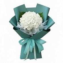 Букет цветов из:  Гортензия в Бологом